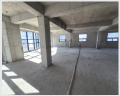  2025Ÿ��3358  �ٸ��ü����