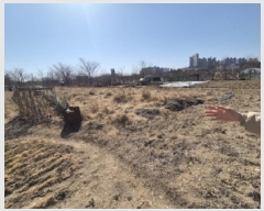  2025Ÿ��3402 ��� ���׽� �ϱ� ������ ��� 888-2     ����(��)���