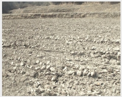  2025Ÿ3593  ׽ ϱ ûϸ  931     ()