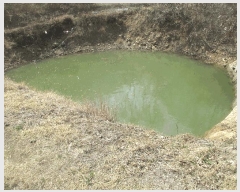  2025Ÿ3593  ׽ ϱ ûϸ  931     ()