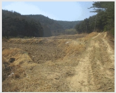  2025Ÿ3593  ׽ ϱ ûϸ  931     ()