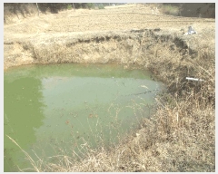  2025Ÿ3593  ׽ ϱ ûϸ  931     ()