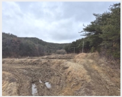  2025Ÿ3593  ׽ ϱ ûϸ  931     ()