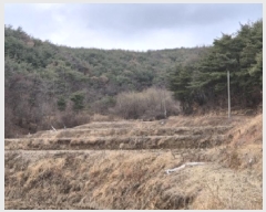  2025Ÿ3593  ׽ ϱ ûϸ  931     ()