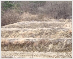  2025Ÿ3593  ׽ ϱ ûϸ  931     ()