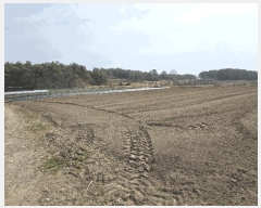  2025Ÿ3640  ׽ ϱ   4-4     ()