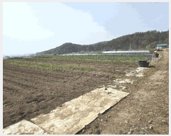  2025Ÿ3640  ׽ ϱ   4-4     ()