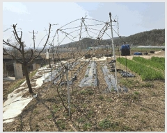  2025Ÿ3640  ׽ ϱ   4-4     ()