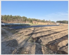  2025Ÿ3640  ׽ ϱ   4-4     ()