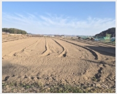  2025Ÿ3640  ׽ ϱ   4-4     ()