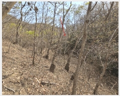  2025Ÿ3655  ׽  ظ ȯ 125     (Ӿ)