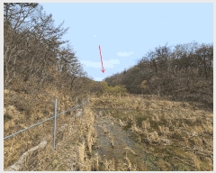  2025Ÿ3655  ׽  ظ ȯ 125     (Ӿ)