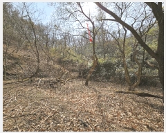  2025Ÿ3655  ׽  ظ ȯ 125     (Ӿ)