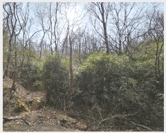  2025Ÿ3655  ׽  ظ ȯ 125     (Ӿ)