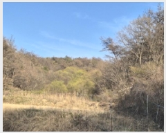  2025Ÿ3655  ׽  ظ ȯ 125     (Ӿ)