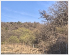  2025Ÿ3655  ׽  ظ ȯ 125     (Ӿ)