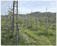  2025Ÿ��3670 ��� ���׽� �ϱ� ���� �о߸� 9     ����(��)���