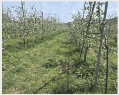  2025Ÿ��3670 ��� ���׽� �ϱ� ���� �о߸� 15-1     ����(�Ӿ�)���