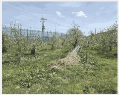  2025Ÿ��3670 ��� ���׽� �ϱ� ���� �о߸� 15-1     ����(�Ӿ�)���