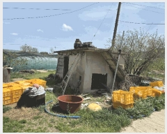  2025Ÿ��3670 ��� ���׽� �ϱ� ���� �о߸� 15-1     ����(�Ӿ�)���