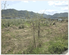  2025Ÿ��3670 ��� ���׽� �ϱ� ���� �о߸� 15-1     ����(�Ӿ�)���