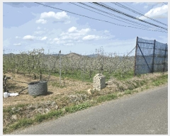  2025Ÿ��3670 ��� ���׽� �ϱ� ���� �о߸� 15-1     ����(�Ӿ�)���