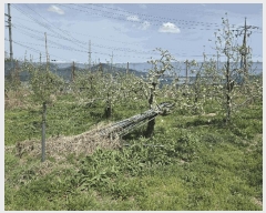  2025Ÿ��3670  ���������