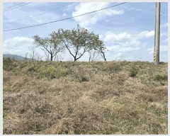  2025Ÿ��3670  ���������