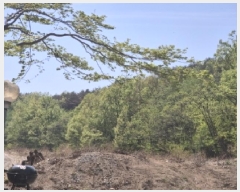  2025Ÿ��3716  �Ӿ߰��