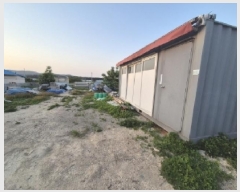  2025Ÿ��3770 ��� ���׽� �ϱ� ������ �ϼ۸� 87-9     ����(����)���