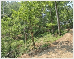  2025Ÿ��3780  �Ӿ߰��