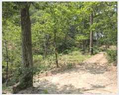  2025Ÿ��3780  �Ӿ߰��