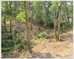  2025Ÿ��3780  �Ӿ߰��