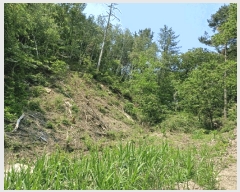  2025Ÿ��3780  �Ӿ߰��