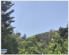  2025Ÿ��3780  �Ӿ߰��