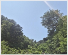  2025Ÿ��3780  �Ӿ߰��