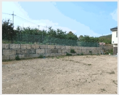  2025Ÿ��3794  ���ð��