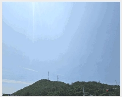  2025Ÿ��3833  �Ӿ߰��