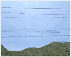  2025Ÿ��3833  �Ӿ߰��