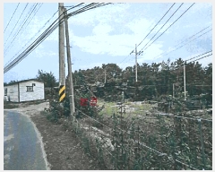  2025Ÿ��3863 ��� ���׽� �ϱ� ������ ���Ѹ� 415-1     ����(����)���