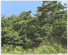  2025Ÿ��3948  �Ӿ߰��