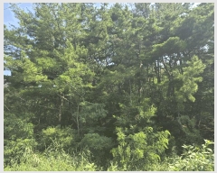  2025Ÿ��3948  �Ӿ߰��