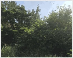  2025Ÿ��3948  �Ӿ߰��