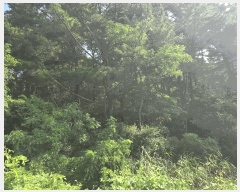  2025Ÿ��3948  �Ӿ߰��