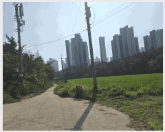  2025Ÿ��3948  �Ӿ߰��