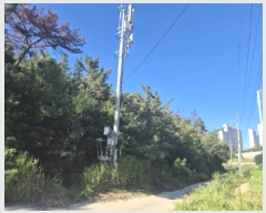  2025Ÿ��3948  �Ӿ߰��