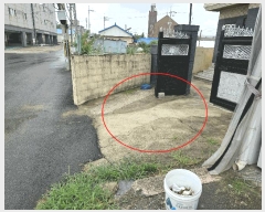  2025Ÿ��3979  ���ð��