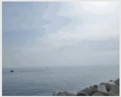  2025Ÿ120  ׽         ǰ