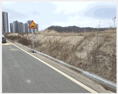  2025Ÿ264  ׽ ϱ  θ 1126     ()