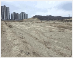  2025Ÿ264  ׽ ϱ  θ 1126     ()